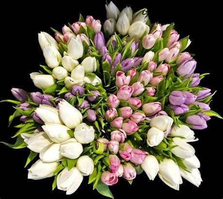 Freepng is a free to use png gallery where you can download high quality transparent png images. Flower bouquets pictures free stock photos download ...