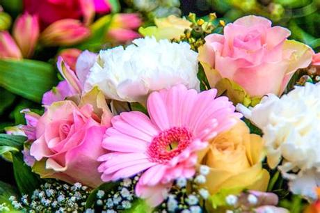 Happy birthday flowers images free download for. Birth Month Flowers and Meanings | What Is Your Birth ...