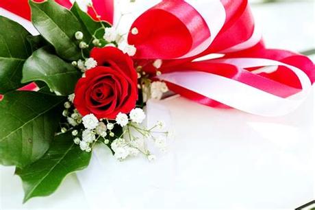 Are you searching for birthday flowers png images or vector? Red Rose Flower on White Surface · Free Stock Photo