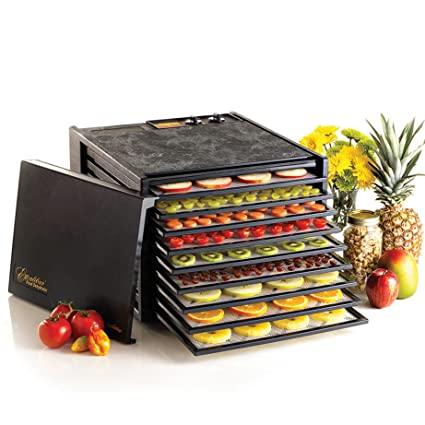 commercial-dehydrator