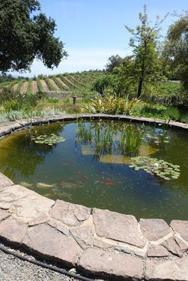 JACK LONDON HISTORIC STATE PARK, Glen Ellen, CA