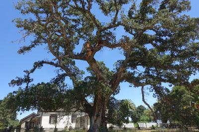 JACK LONDON HISTORIC STATE PARK, Glen Ellen, CA