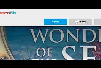 5 Best Sites Like MovieTube to Watch Movies Online Free Paperblog