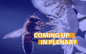 Coming up: Covid certificate, LUX award, biodiversity strategy | News | European Parliament