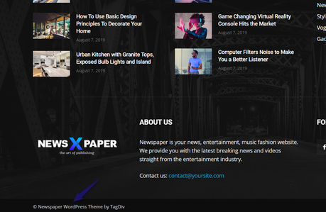 newspaprt theme footer