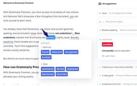 grammarly editor