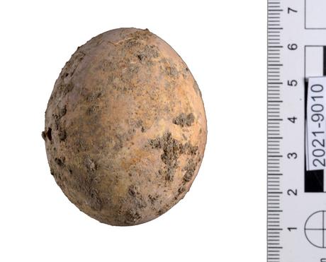 the Thousand Year Old Egg
