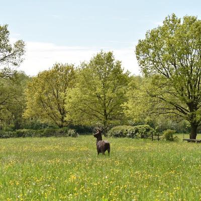 A Northamptonshire Afternoon