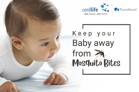 Keep Your Baby Away From Mosquito Bites