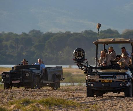 Best safari camps to see wild dogs