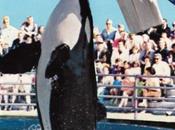 Marineland Beach #50YearsAgoToday #CaliforniaTrip