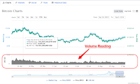 A day trader has to know the market's intricacies and the crypto assets he's trading inside and out. K0vpsfnezjfwvm