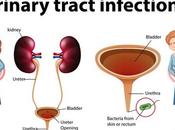 (Urinary Tract Infection)