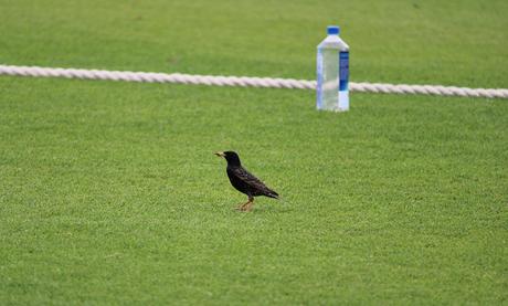 Kent v Northamptonshire (take 2)