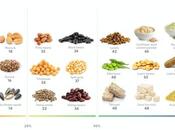 Best Plant-based High-protein Foods Weight Loss