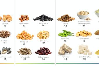 The Best Plant-based High-protein Foods for Weight Loss - Paperblog