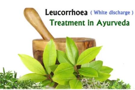 Herbal Remedies for Leucorrhoea (White Discharge)
