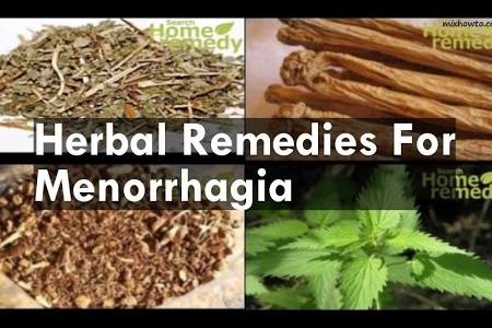 Herbal Remedies for Menorrhagia