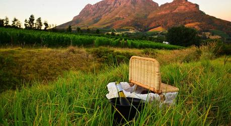 Outdoor dining experiences in Africa on the wine lands of the Cape South Africa Tour. 