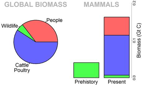 A domesticated planet