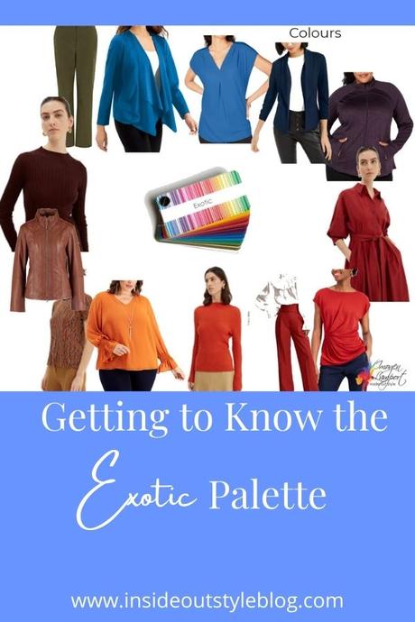 Getting to Know the Exotic Palette with Shoppable Picks