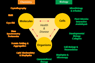Molecular and Cellular Life Sciences - Masters - Utrecht University