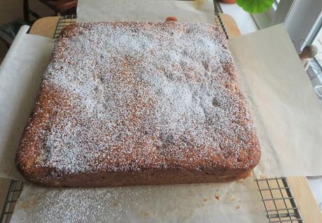 Rhubarb Buttermilk Picnic Cake