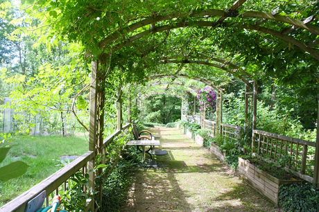 Your Garden Should Be The Best Hangout spot on your Street