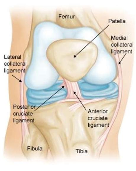 Knee ligament repair is a treatment for a complete tear of a knee ligament that results in instability in the knee. Collateral Ligament Injuries - OrthoInfo - AAOS