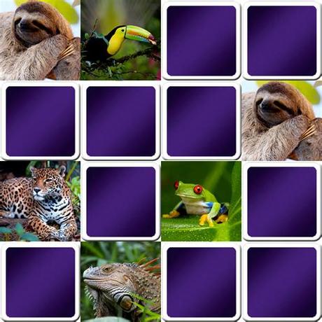 Brain and memory games can help one improve their memory. Great memory game for seniors - tropical animals - Online ...