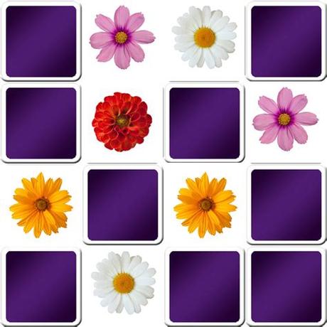 Several levels of difficulty, one or two players, so come and play! Play matching game for seniors - flowers - Online & Free ...