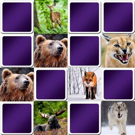 Find here many and free memory games online for seniors. Great memory game for seniors - animals - Online and free ...
