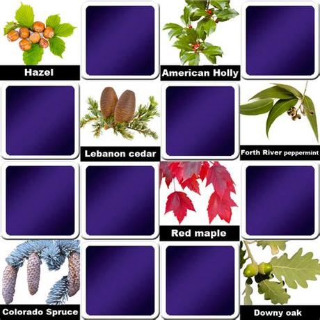 Playing memory and brain games with seniors with dementia is a great way to stimulate memory and keep the brain engaged. Play matching game for seniors - Leaves of trees - Online ...