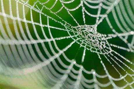 Strategic team building activities enable participants to get to know each other. Spiders Web | Team Building Games, UK, Online | Trainer Bubble