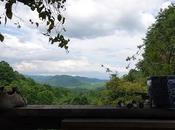 Clouded View