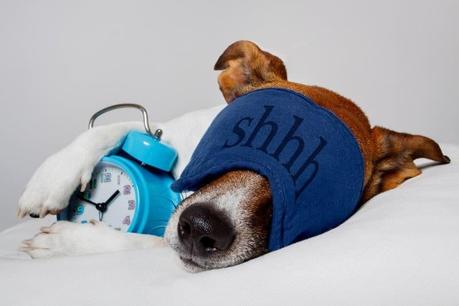 6 Ideas On Sleeping Better and Waking Up Feeling Energized