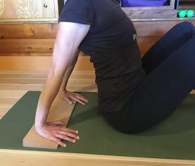 Strengthening Pose of the Week: Upward Plank Pose