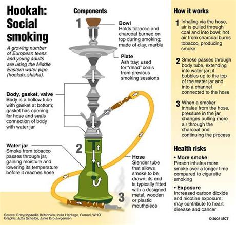 Also, coals are pretty easy to get, either have your brother or yourself go to the tobacco store and buy a pack of coals for like $5. Hung Up on Hookah - The Northerner