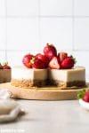 Nut Butter Vegan Cheesecake