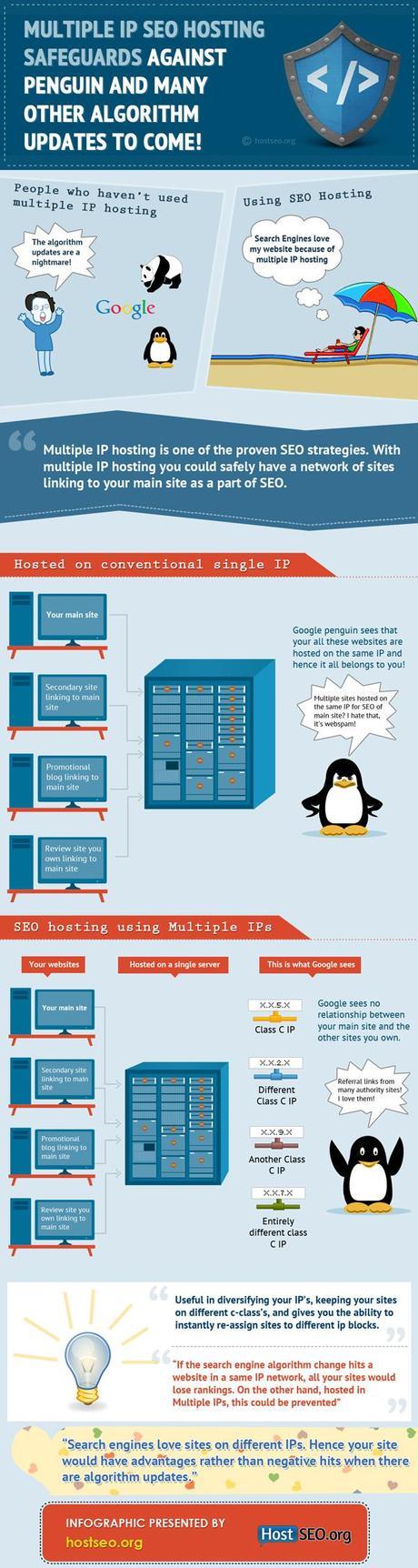 Infogaphic on Benefits of Multiple IP SEO Hosting