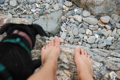 Wilder Pictures + Musings: Marshall Point Light + Port Clyde General Store