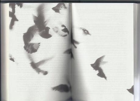 extremely loud and incredibly close book pages