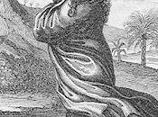 Stories Hollow Earth