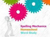 Spelling Mechanic Review!