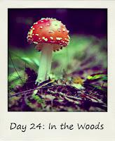 In The Woods #BlogFlash2012 Day 24