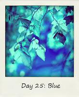 Blue #BlogFlash2012 Day 25