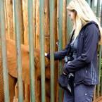 293430_10151168957385365_1496076898_n