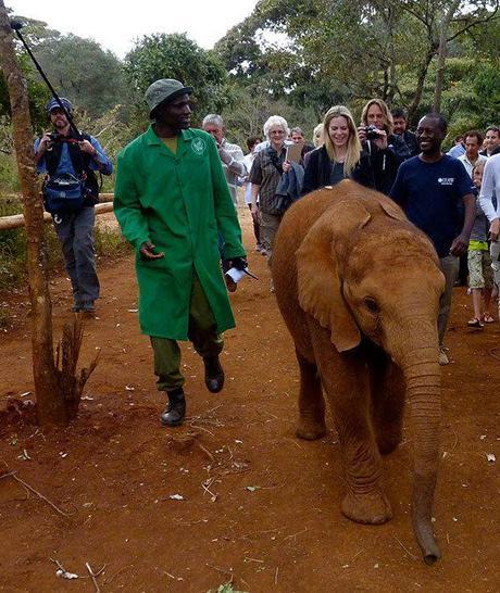 Kristin Bauer Van Straten in Kenya at Sheldrick Elephant Orphanage
