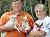 Dogs Seized Cruelty Case Adopted