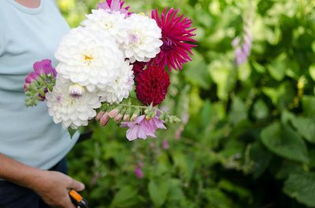 Making a Perfect August Bouquet